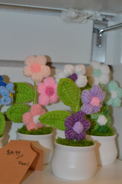 Crochet Gift | Blooming Flower Pot -01