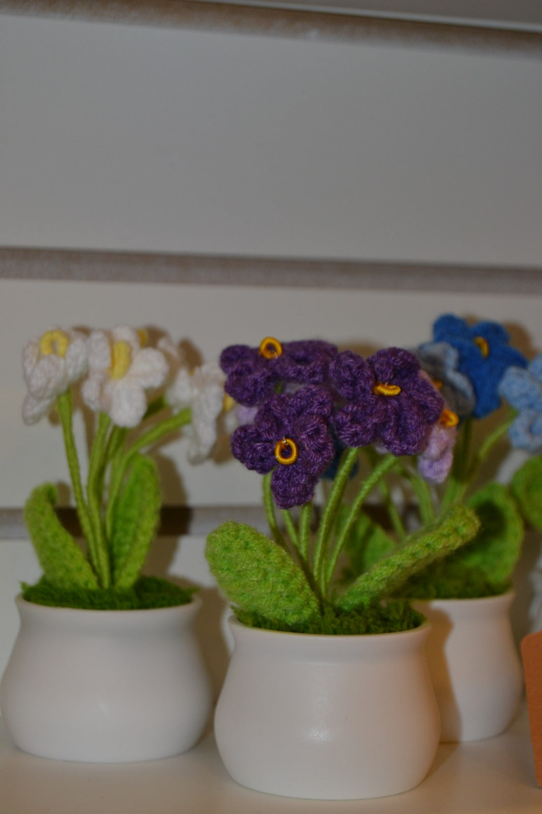 Crochet Gift | Blooming Flower Pot -01
