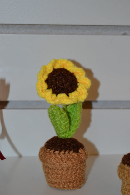 Crochet Gift | Blooming Flower Pot (knitted) -01