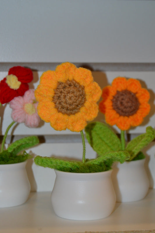 Crochet Gift | Blooming Flower Pot -03