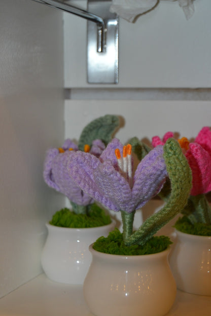 Crochet Gift | Blooming Flower Pot -02