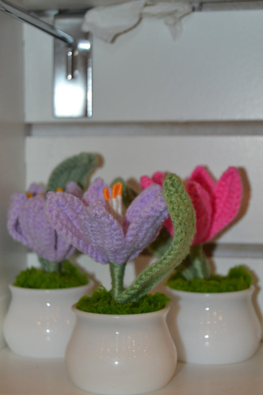 Crochet Gift | Blooming Flower Pot -02