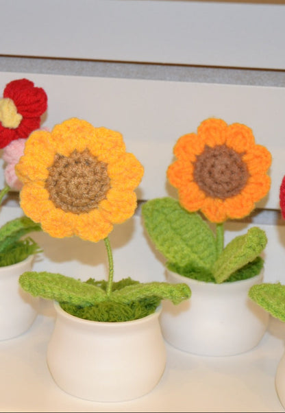 Crochet Gift | Blooming Flower Pot -03