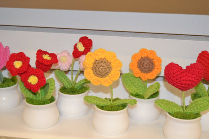 Crochet Gift | Blooming Flower Pot -03