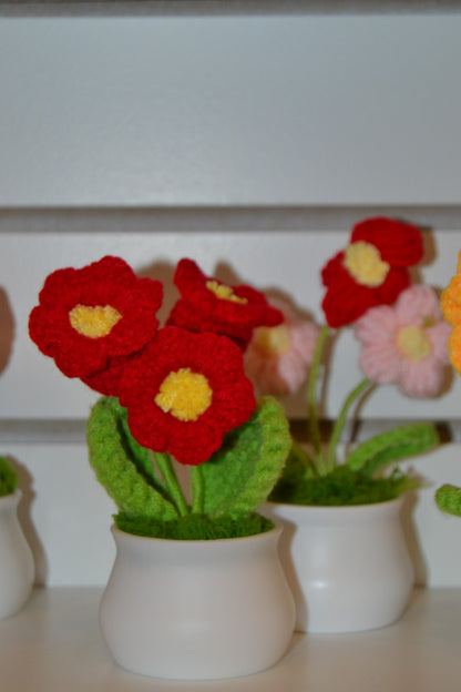 Crochet Gift | Blooming Flower Pot -01