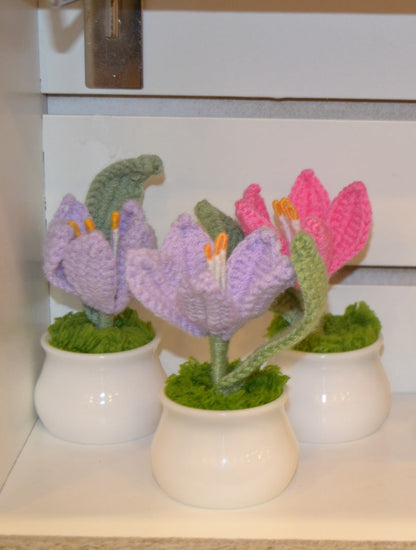 Crochet Gift | Blooming Flower Pot -02